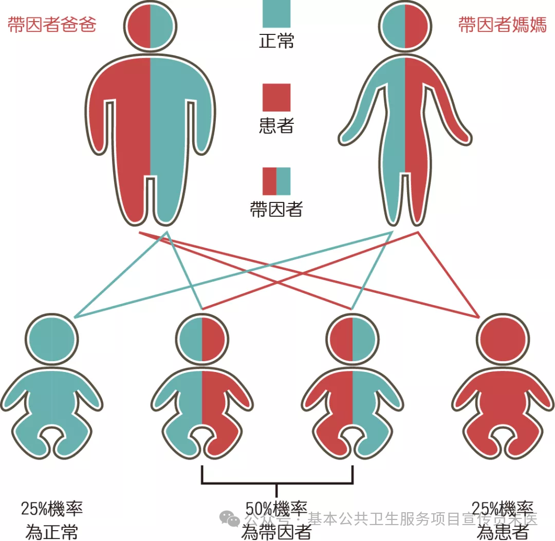 3.png 3.png