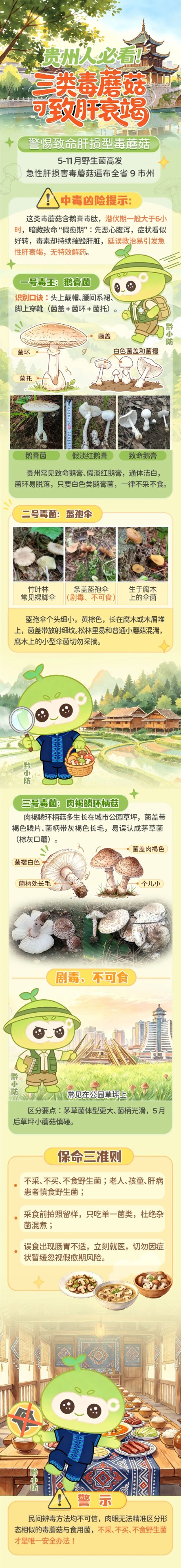 蘑菇.jpg